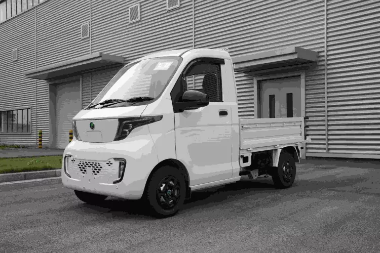 Wuling G050P mini yuk mashinasi